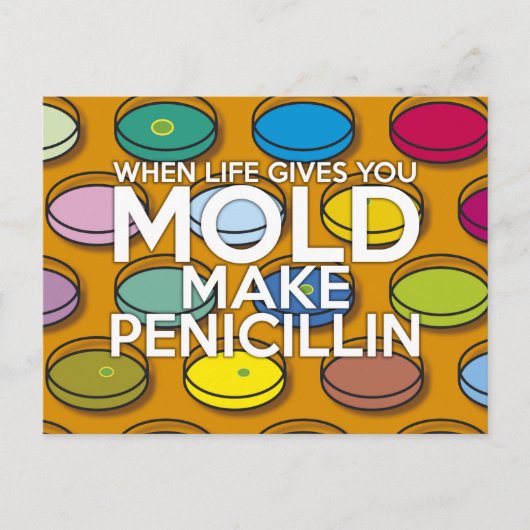 ALS HET LEVEN JE SCHIMMEL GEEFT BRIEFKAART (Voorkant)