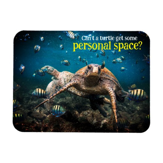 Als het leven moeilijk wordt, blijf dan zwemmen magneet (Horizontaal)