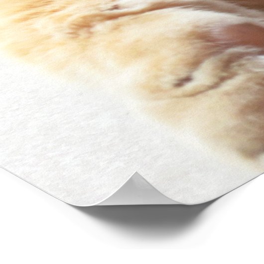 Als het leven te zwaar wordt, dan wordt het Poster (Hoek)