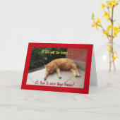 Als het leven te zwaar wordt Inspirerend Kaart kat (Gele Bloem)