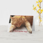 Als het leven te zwaar wordt Inspirerend Kaart kat (Gele Bloem)