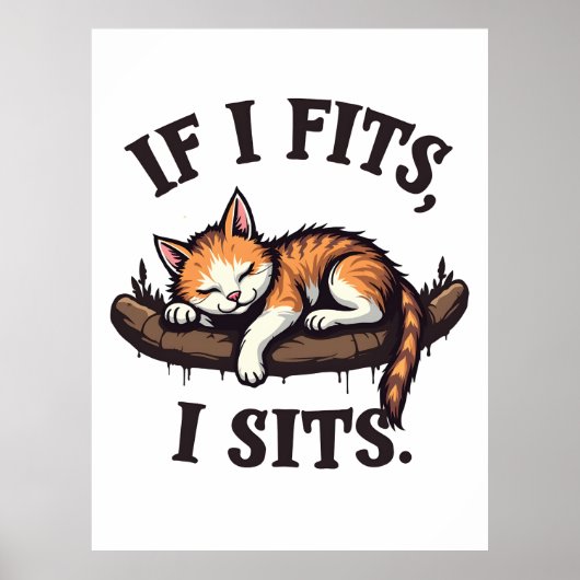 Als het past zit ik Grappige Slaap Kat Kattig Kitt Poster (Voorkant)