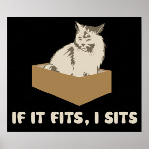 Als het past, zit ik kat poster