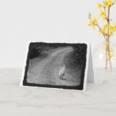 Als het tijd-sympathiekaart is kaart (Gele Bloem)