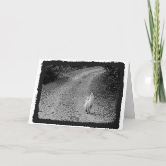 Als het tijd-sympathiekaart is kaart (Voorkant)