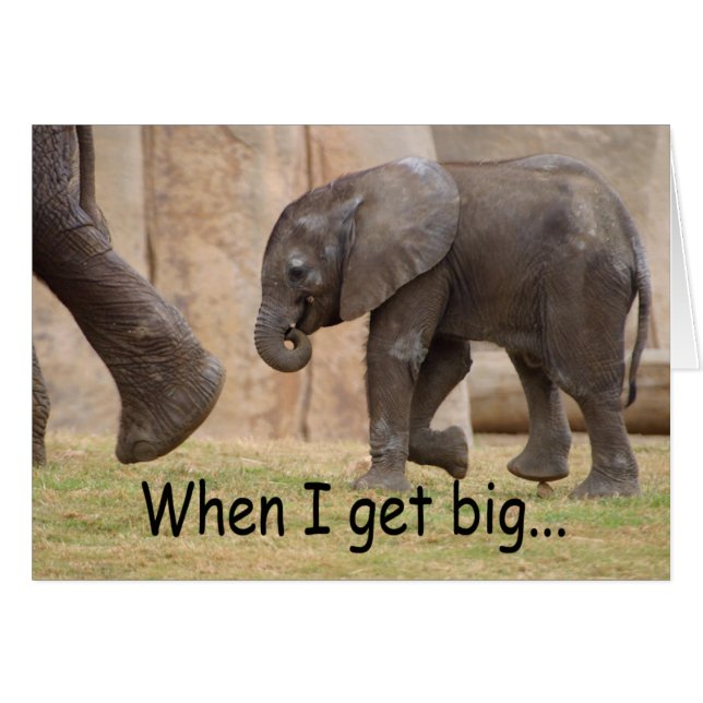 Als ik Big krijg... (Voorkant Horizontaal)