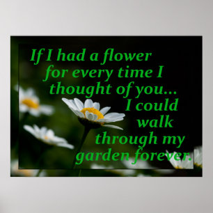 Als ik een bloem had voor elke keer dat ik aan je poster