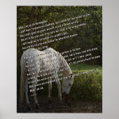 Als ik een oude paard ben III Poster (Voorkant)