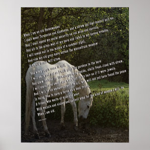 Als ik een oude paard ben III Poster