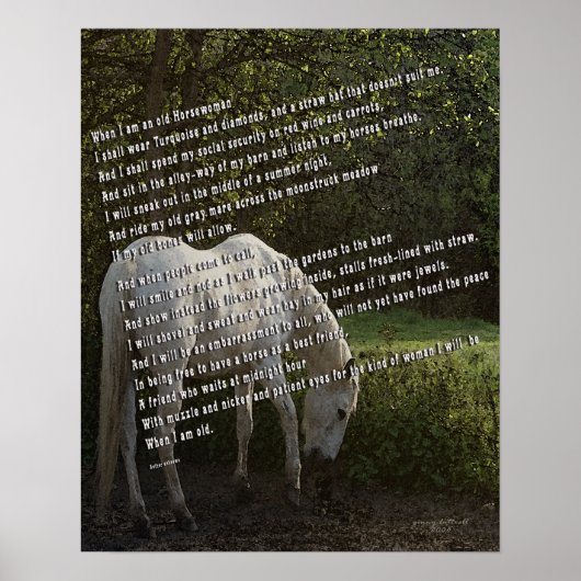 Als ik een oude paard ben III Poster (Voorkant)