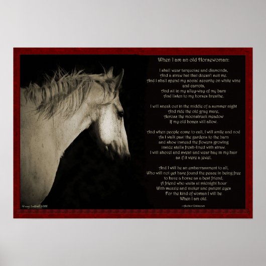 Als ik een oude paardenvrouw ben poster (Voorkant)