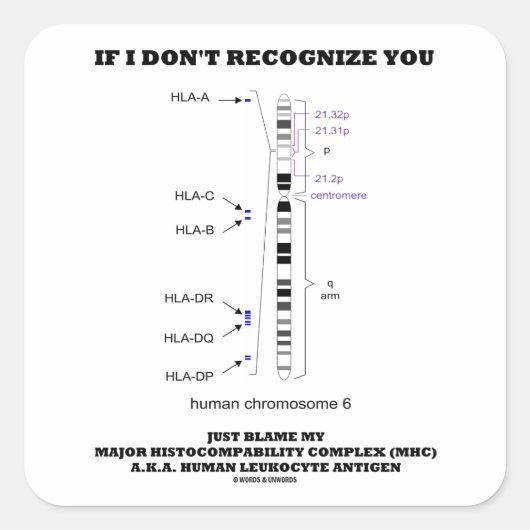 Als ik je niet herken, ben je de schuld van mijn b vierkante sticker (Voorkant)