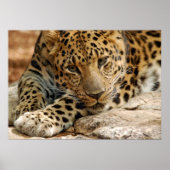 Als ik maar...kan worden gered poster (Voorkant)