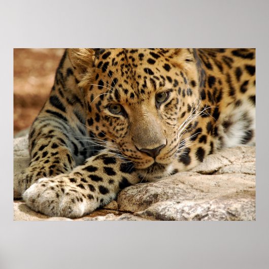 Als ik maar...kan worden gered poster (Voorkant)