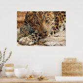 Als ik maar...kan worden gered poster (Keuken)