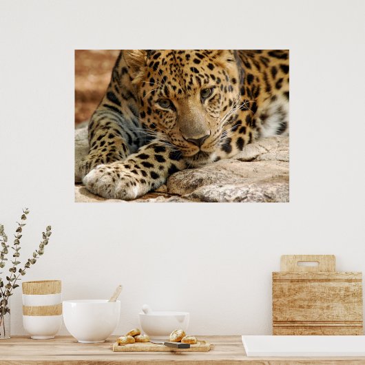 Als ik maar...kan worden gered poster (Keuken)