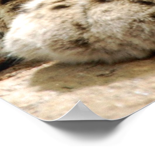 Als ik maar...kan worden gered poster (Hoek)