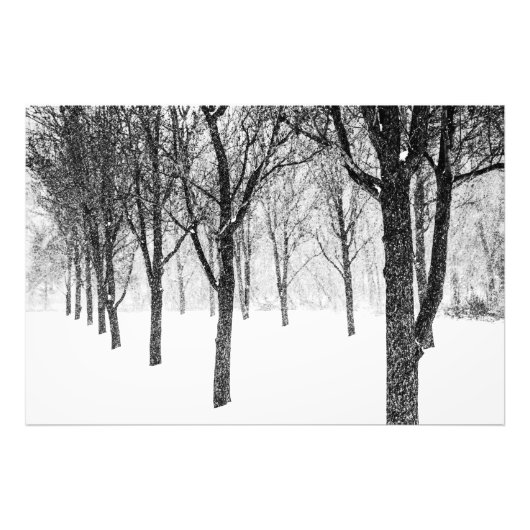 Als ik met bomen aan de zijkant ben foto afdruk (Voorkant)