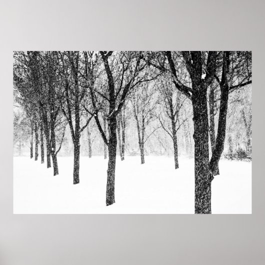 Als ik met bomen aan de zijkant ben poster (Voorkant)