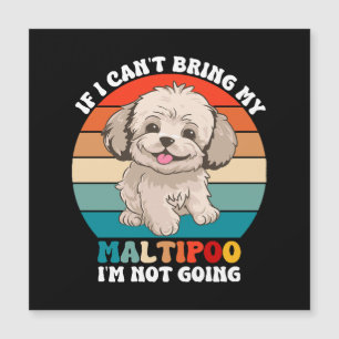 Als ik mijn Maltipoo-hond niet mee kan brengen, ga