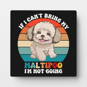 Als ik mijn Maltipoo-hond niet mee kan brengen, ga Fotoplaat