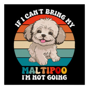 Als ik mijn Maltipoo-hond niet mee kan brengen, ga Perfect Poster