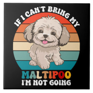 Als ik mijn Maltipoo-hond niet mee kan brengen, ga Tegeltje