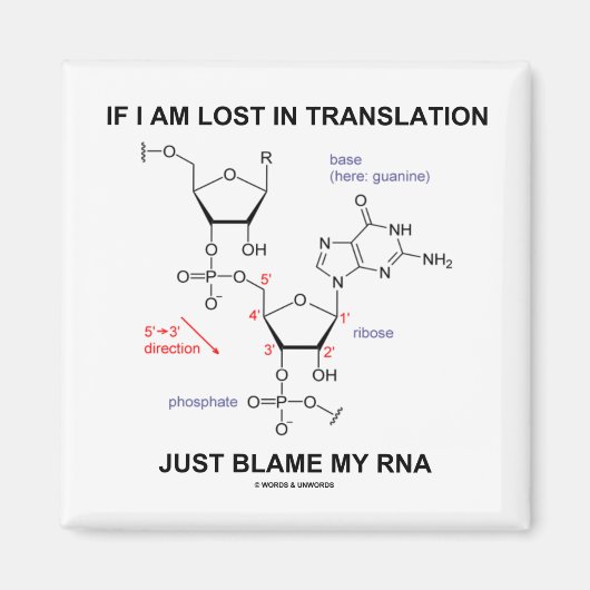 Als ik vertaal ben, geef dan mijn RNA de schuld Magneet (Voorkant)