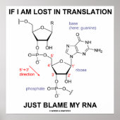 Als ik vertaal ben, geef dan mijn RNA de schuld Poster (Voorkant)