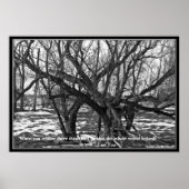 "Als je beseft dat er niets ontbreekt..... Poster (Voorkant)