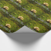 Als je de grond was, zou ik je kappen met papier (Hoek)