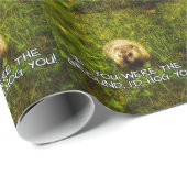 Als je de grond was, zou ik je kappen met papier (Rol Hoek)