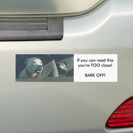 Als je dit kunt lezen...te dichte Bumpersticker (Op auto)