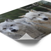 Als je dode wolven... poster (Hoek)