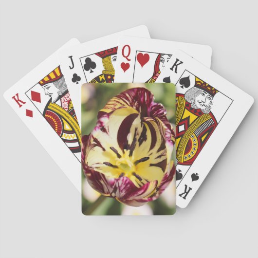 Als je een tulp draagt pokerkaarten (Achterkant)