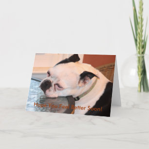 Als je je een beetje Blau voelt Boston Terrier Kaart