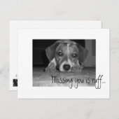 Als je mist, ben je niet goed... briefkaart (Voorkant / Achterkant)