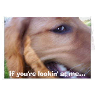 Als je naar me kijkt...