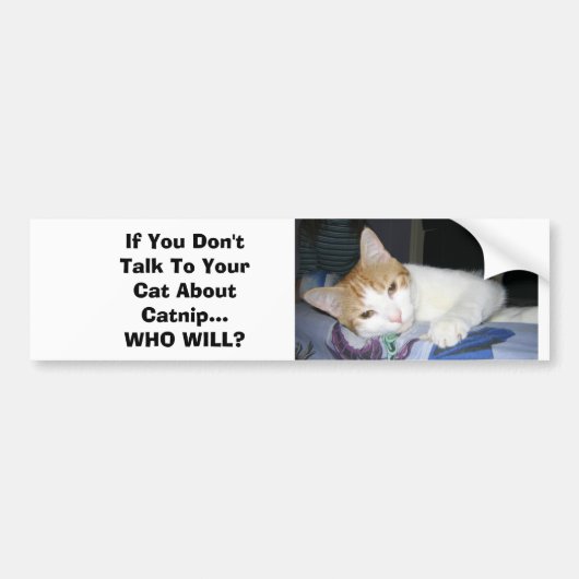 Als je niet met je kat praat over de vangst bumpersticker (Voorkant)