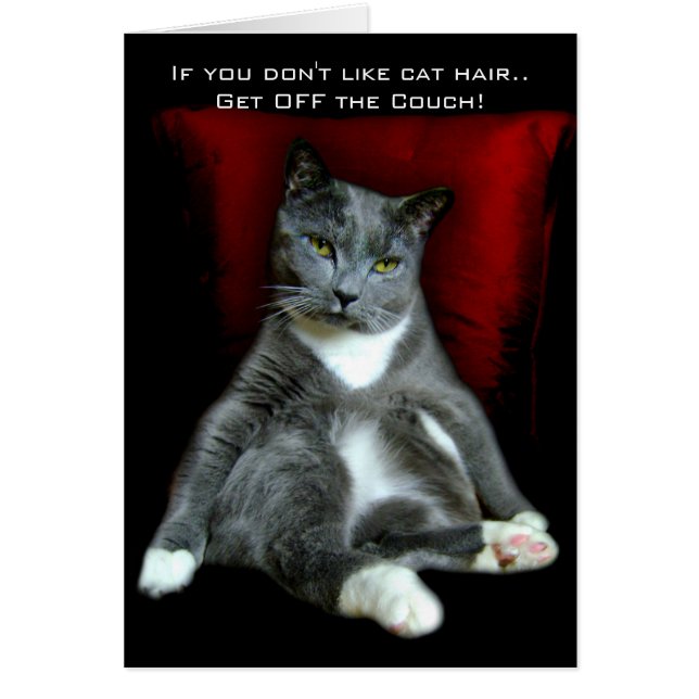 Als je niet van kattenhaar houdt... Ga van de bank (Voorkant)