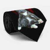 Als je niet van kattenhaar houdt... Ga van de bank Stropdas (Opgerold)
