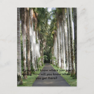 Als je niet weet waar je heen gaat... briefkaart