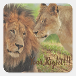 als je weet dat hij gelijk heeft vierkante sticker