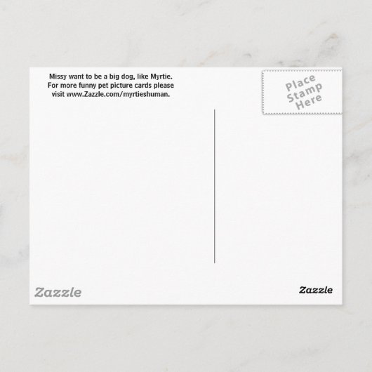 Als kat denker... briefkaart (Achterkant)