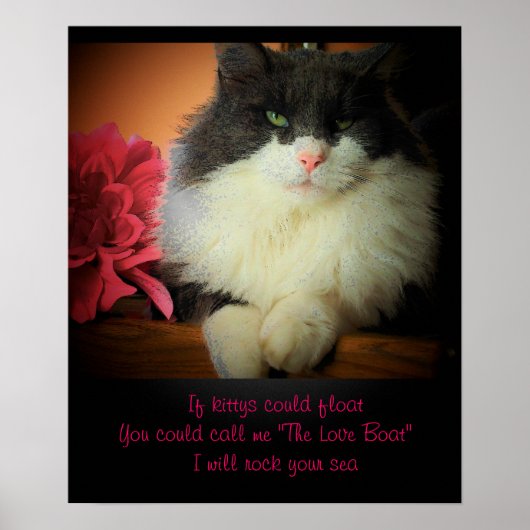 Als katten kunnen drijven poster (Voorkant)
