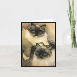 Als katten kunnen praten kaart