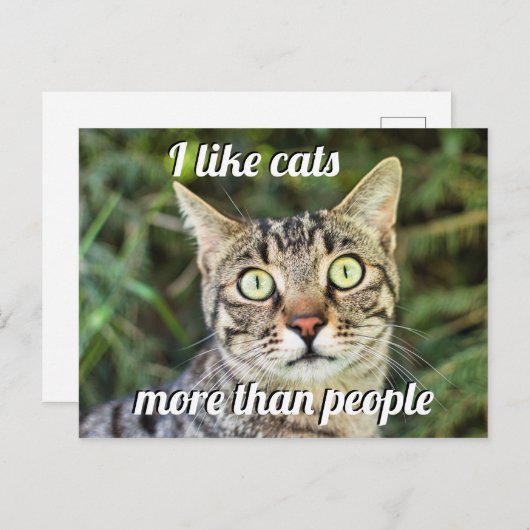 Als katten meer dan als mensen die een kat met gro briefkaart (Voorkant / Achterkant)