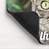 Als katten meer dan als mensen die een kat met gro muismat (Hoek)