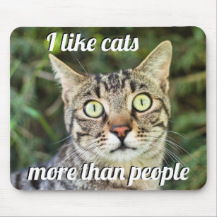 Als katten meer dan als mensen die een kat met gro muismat