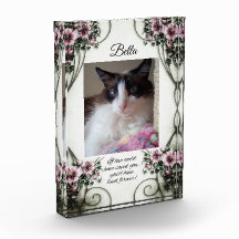 Als liefde je had kunnen redden... fotoblok.